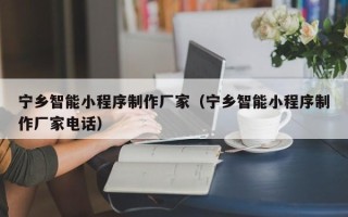 河北宁乡智能小程序制作厂家（宁乡智能小程序制作厂家电话）